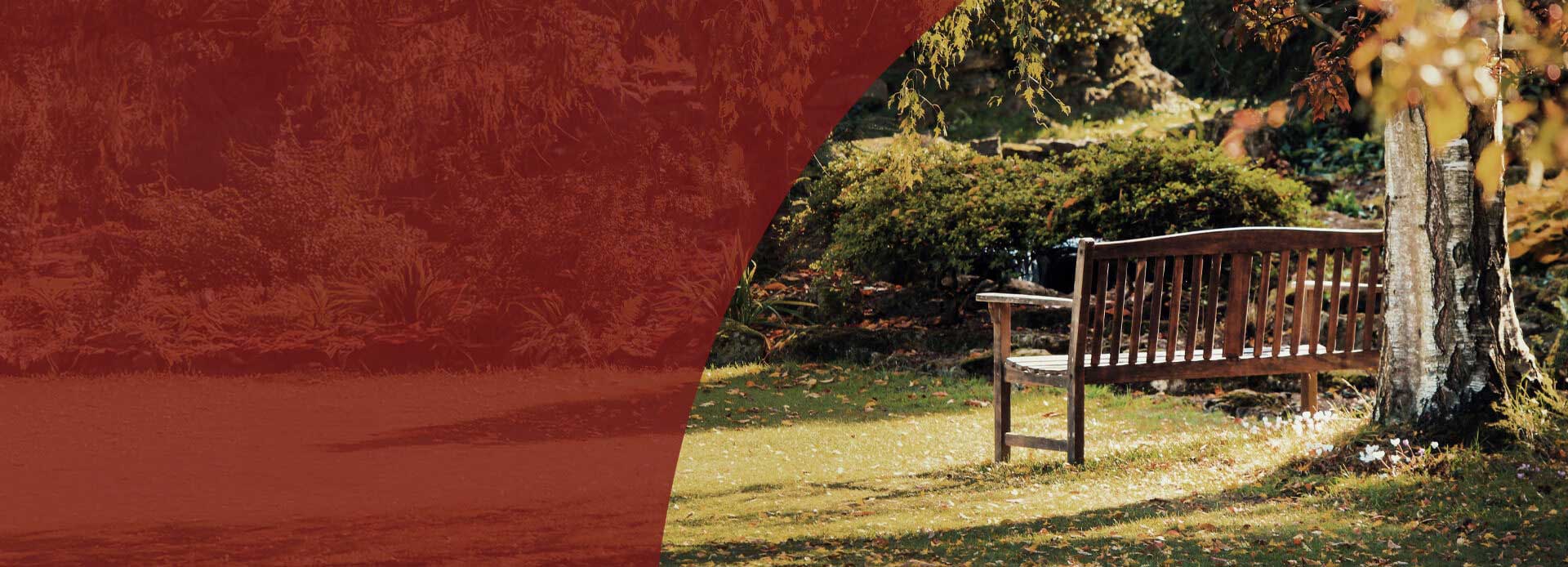 Park bench