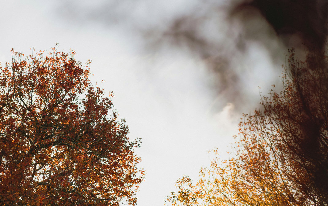 Bereavement support